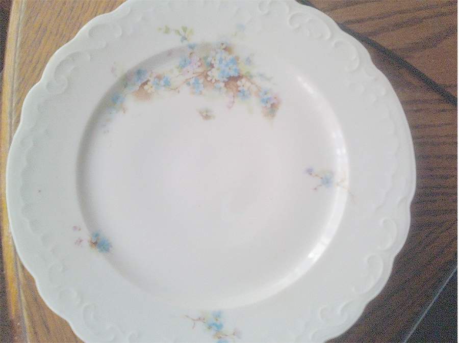 ELO24 Dinner Plate by Elbogen-1
