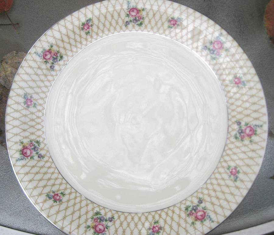 12429 Dinner Plate by Epiag-1