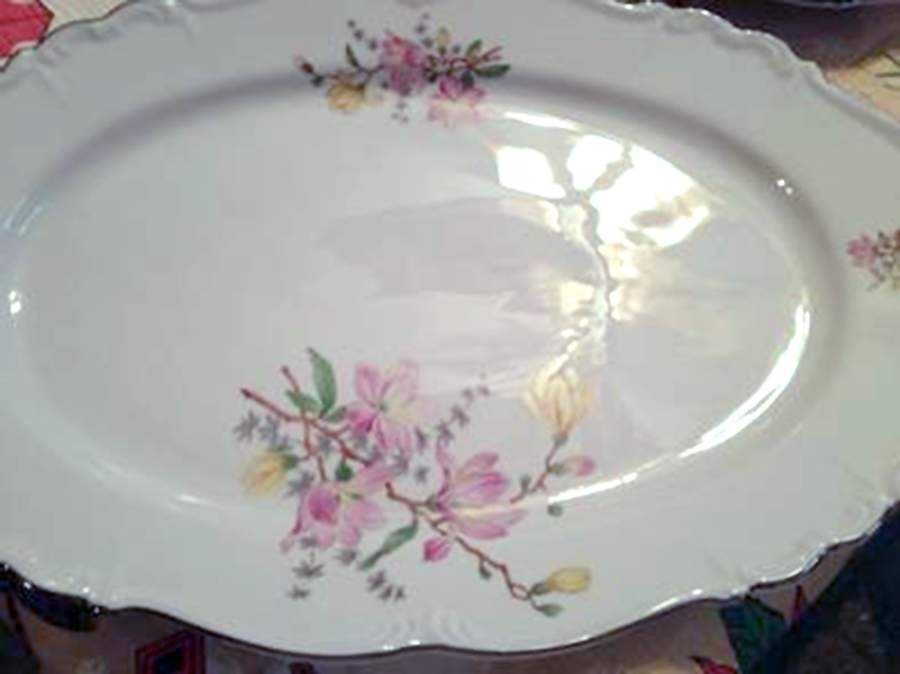 20933 Dinner Plate by Edelstein-1