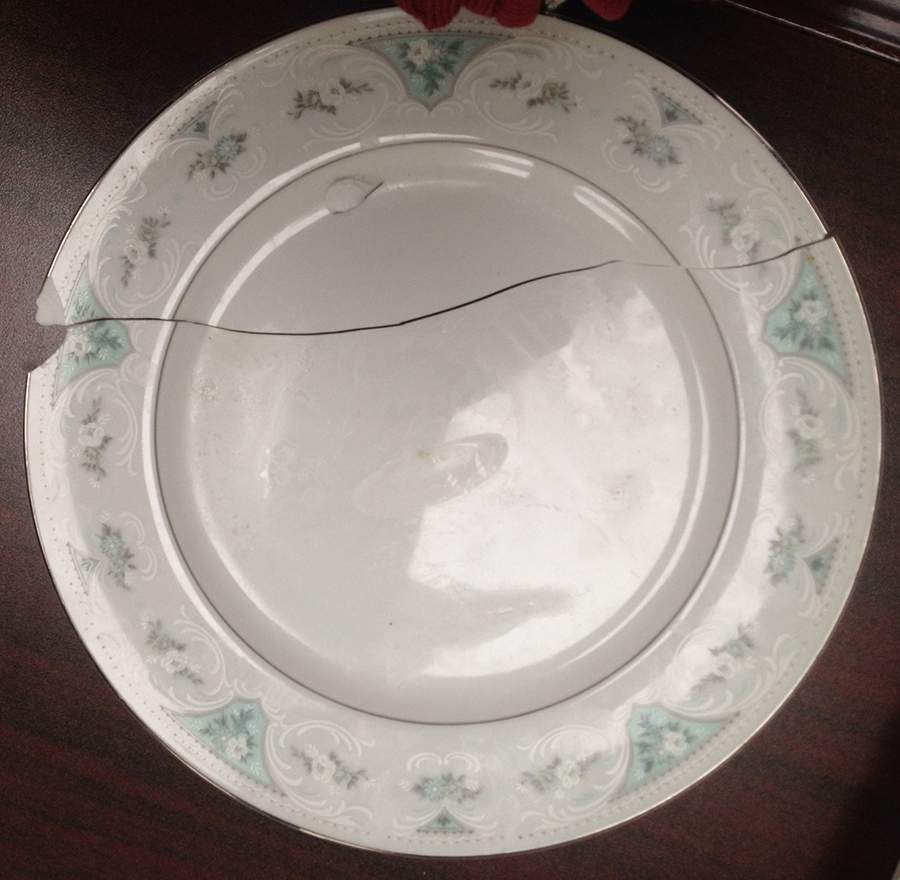Innovation Dinner Plate by Everbrite (Japan)-1