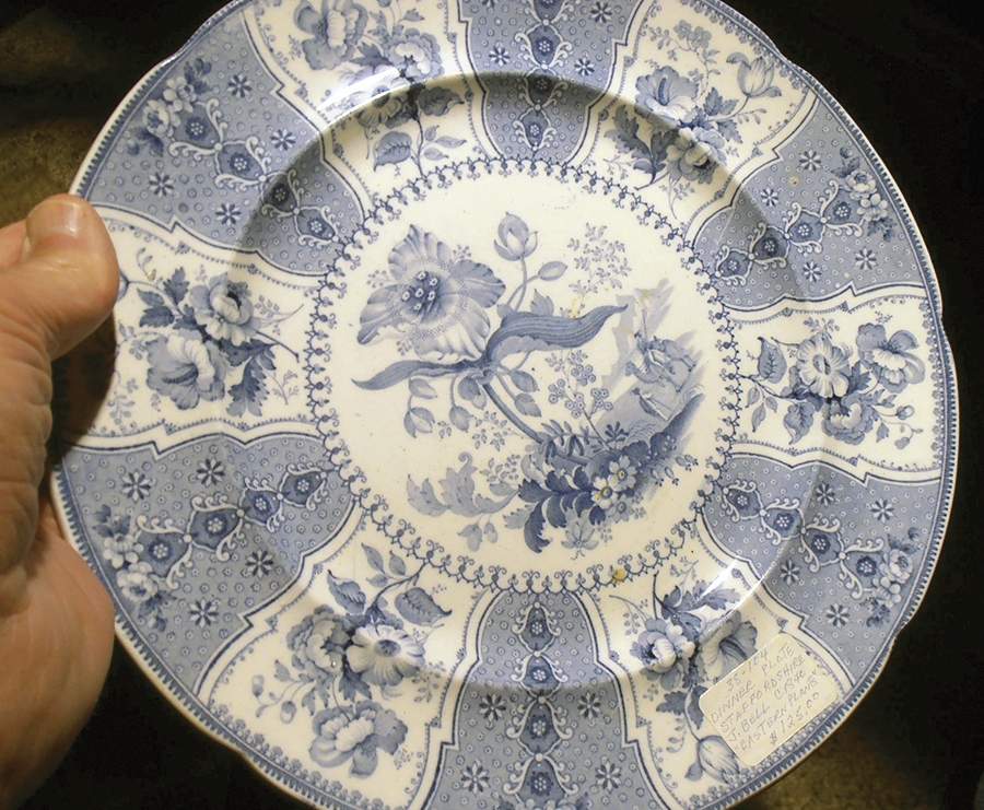 Eastern Plants Blue Dinner Plate by John Edwards-1