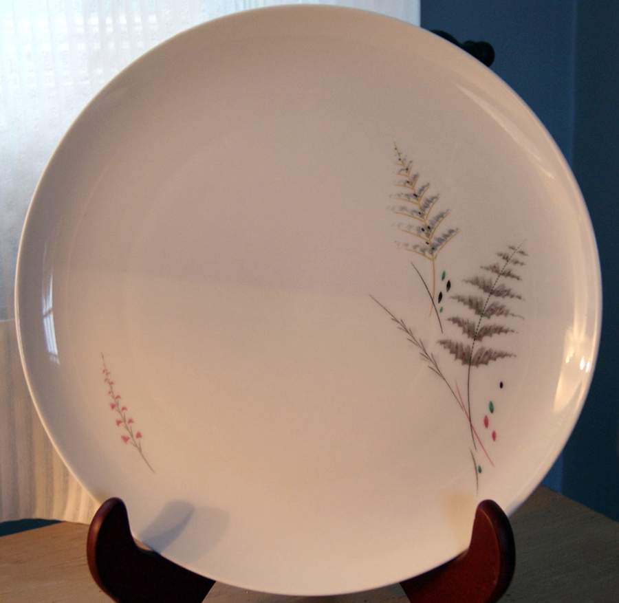 ESC307 Dinner Plate by Eschenbach-1