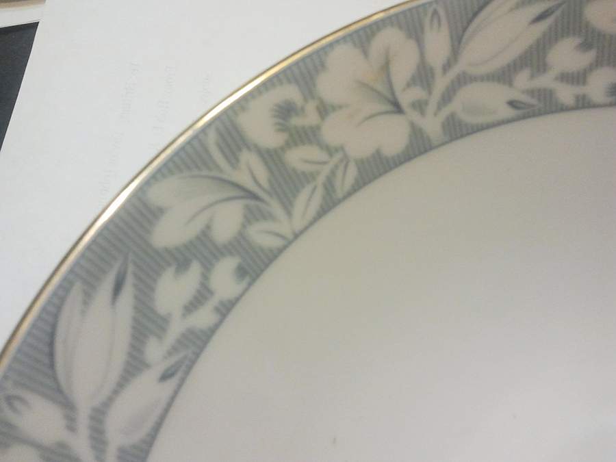 ESC312 Dinner Plate by Eschenbach-1