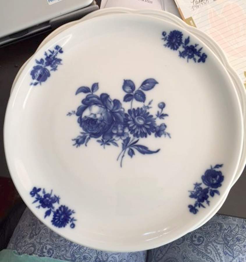 ESC320 Dinner Plate by Eschenbach-1