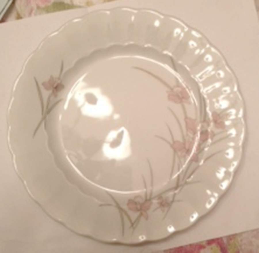 ESC321 Dinner Plate by Eschenbach-1
