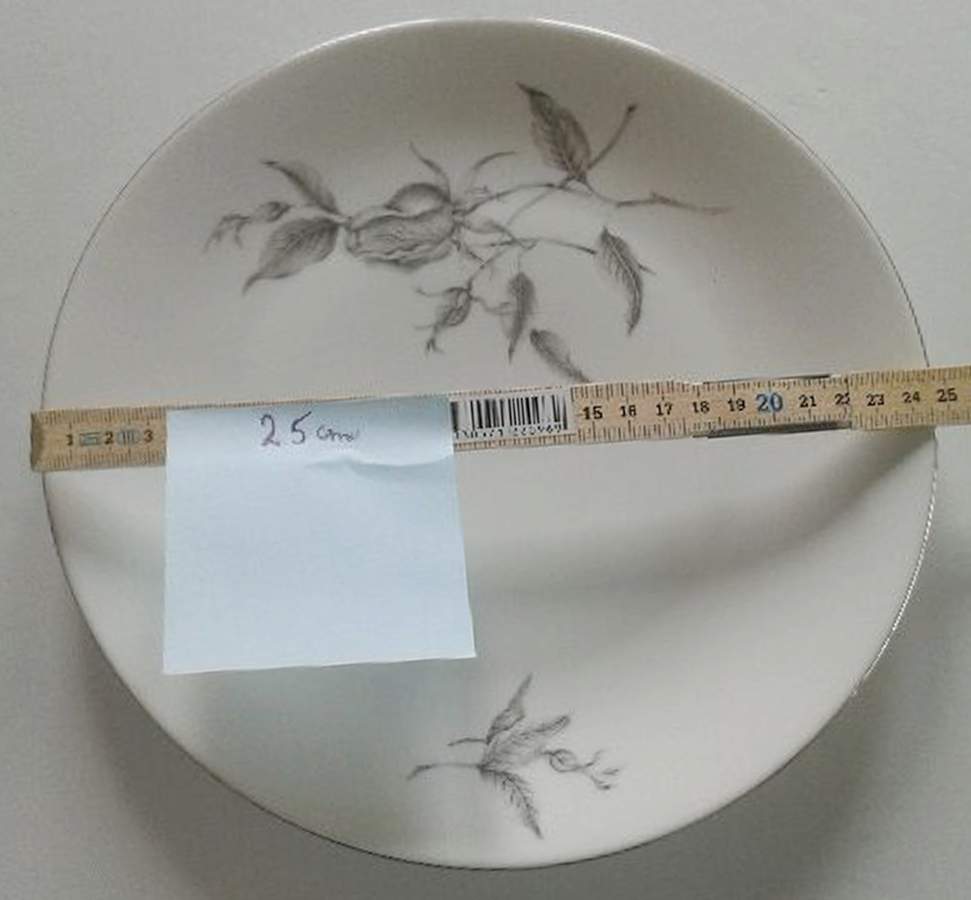 EPI452 Dinner Plate by Epiag-1
