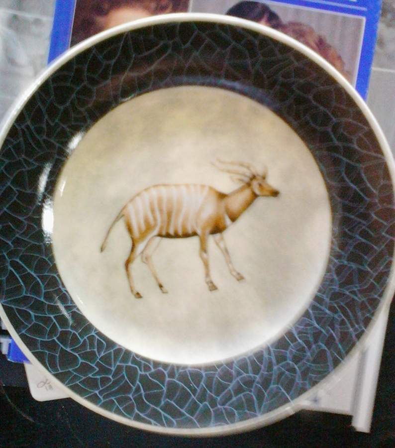 EDS57 Salad Plate by Email de Limoges-1