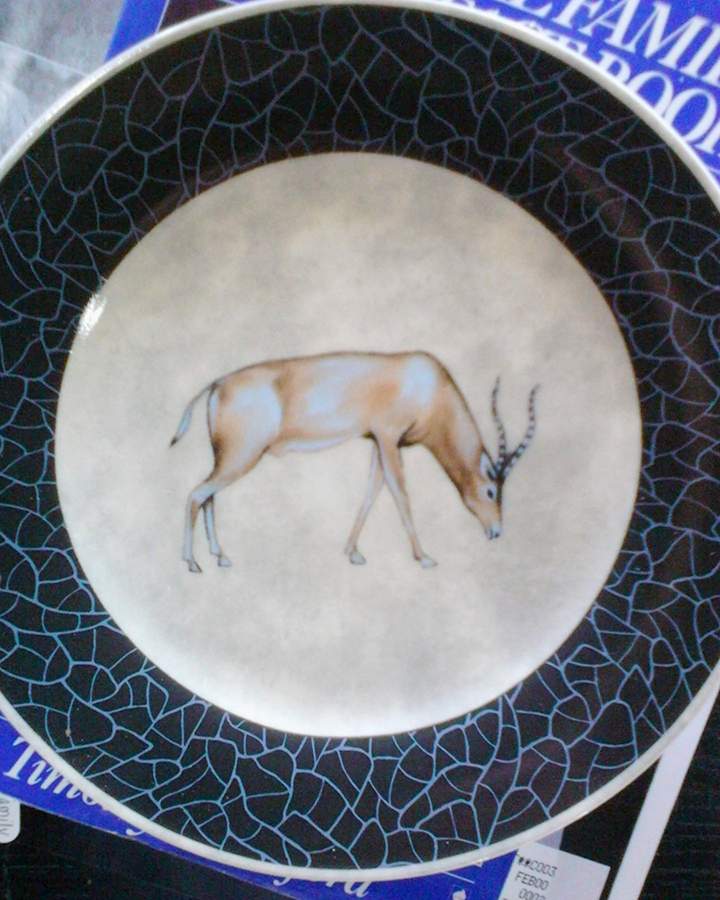 EDS57 Salad Plate by Email de Limoges-1