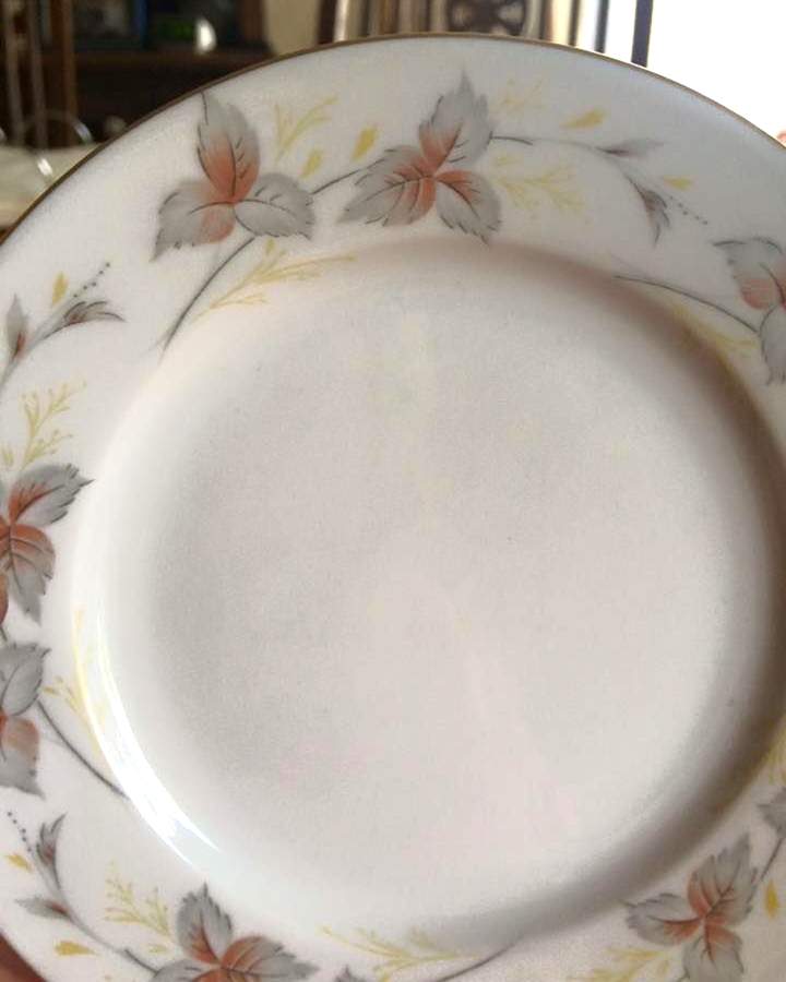ESC325 Dinner Plate by Eschenbach-1