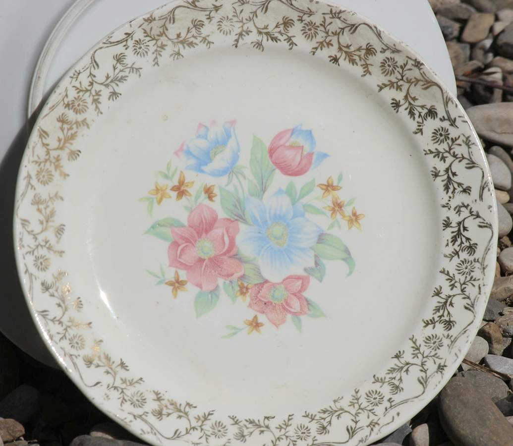 EAN56 Dinner Plate by Eastern China -1