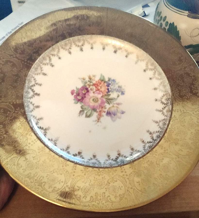 EWD17 Dinner Plate by Edgewood-1