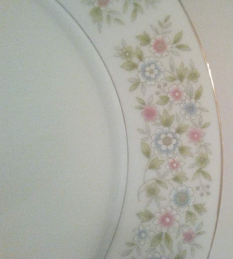 Hyde Park Dinner Plate by Empress (Japan)-1