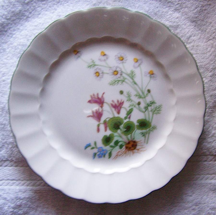ESC329 Dinner Plate by Eschenbach-1