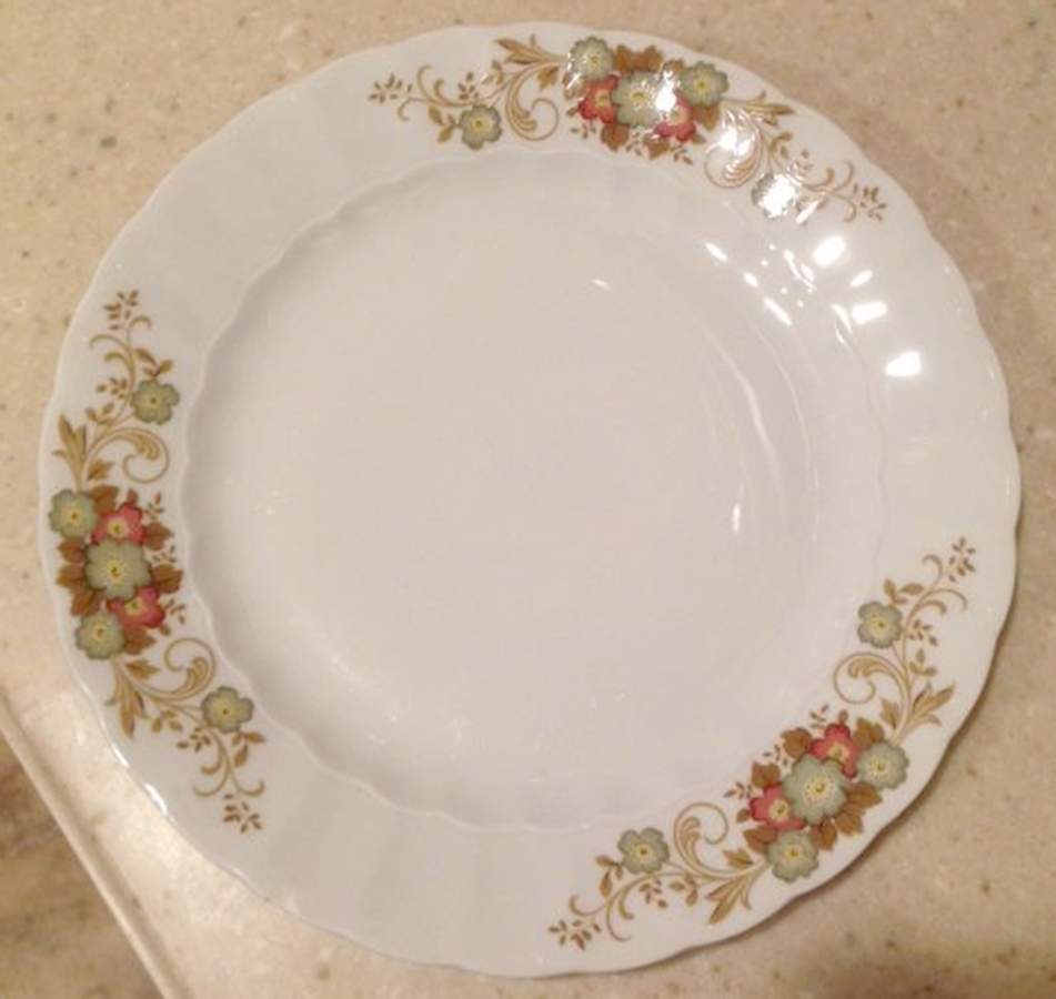 ESC330 Dinner Plate by Eschenbach-1
