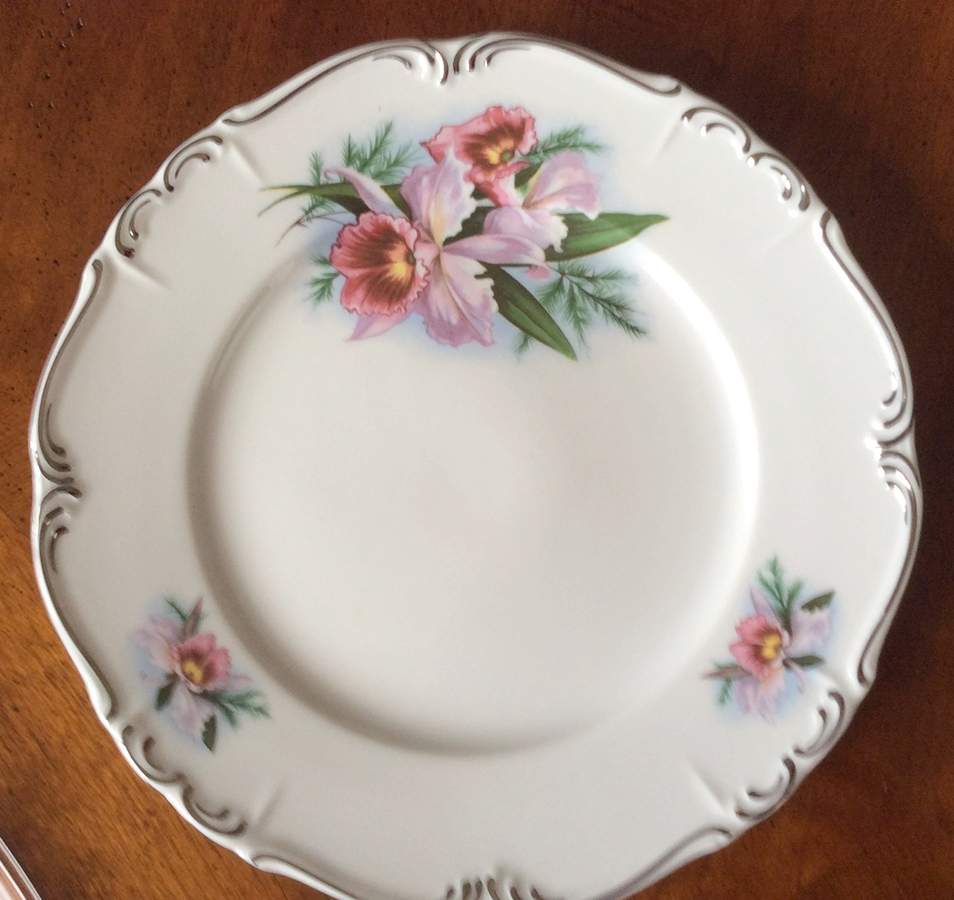 EDE63 Dinner Plate by Edelstein-1