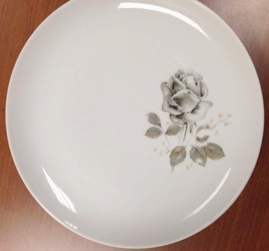 ESC333 Dinner Plate by Eschenbach-1
