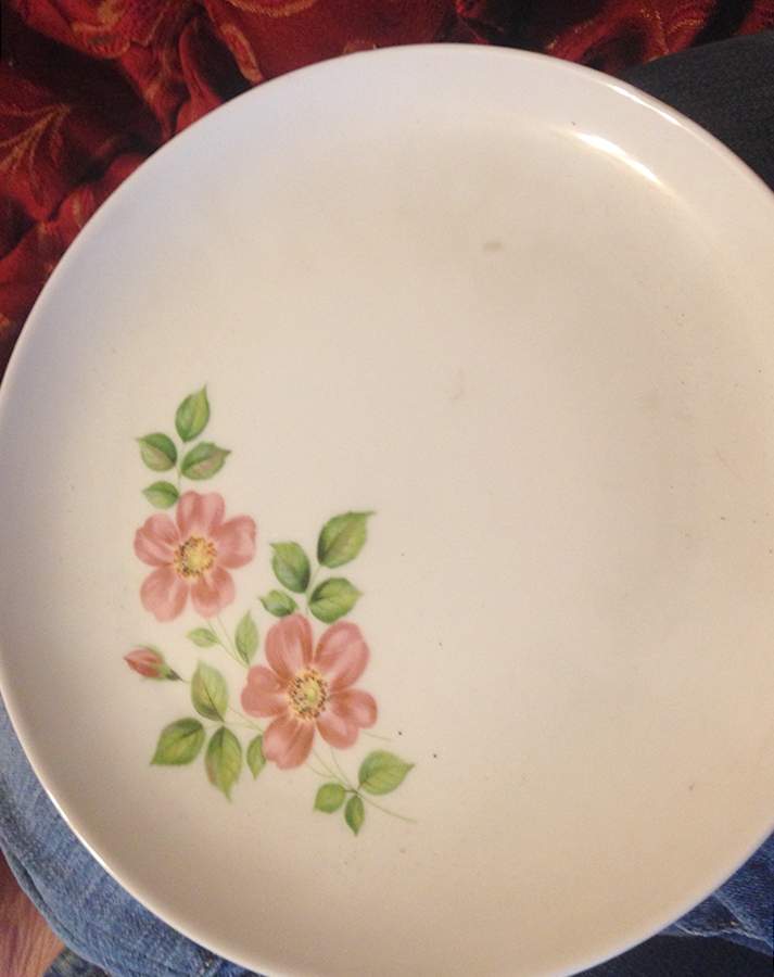 ESC339 Dinner Plate by Eschenbach-1