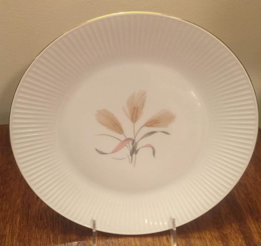 ESC341 Dinner Plate by Eschenbach-1