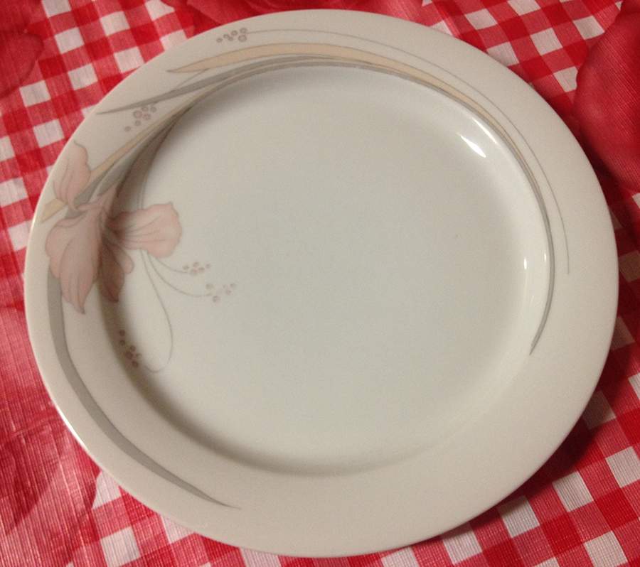 ESC343 Dinner Plate by Eschenbach-1