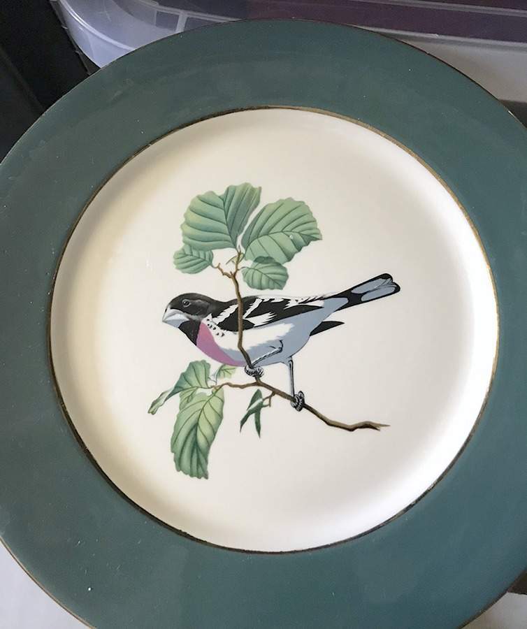 ELH7 Dinner Plate by Eliot-1