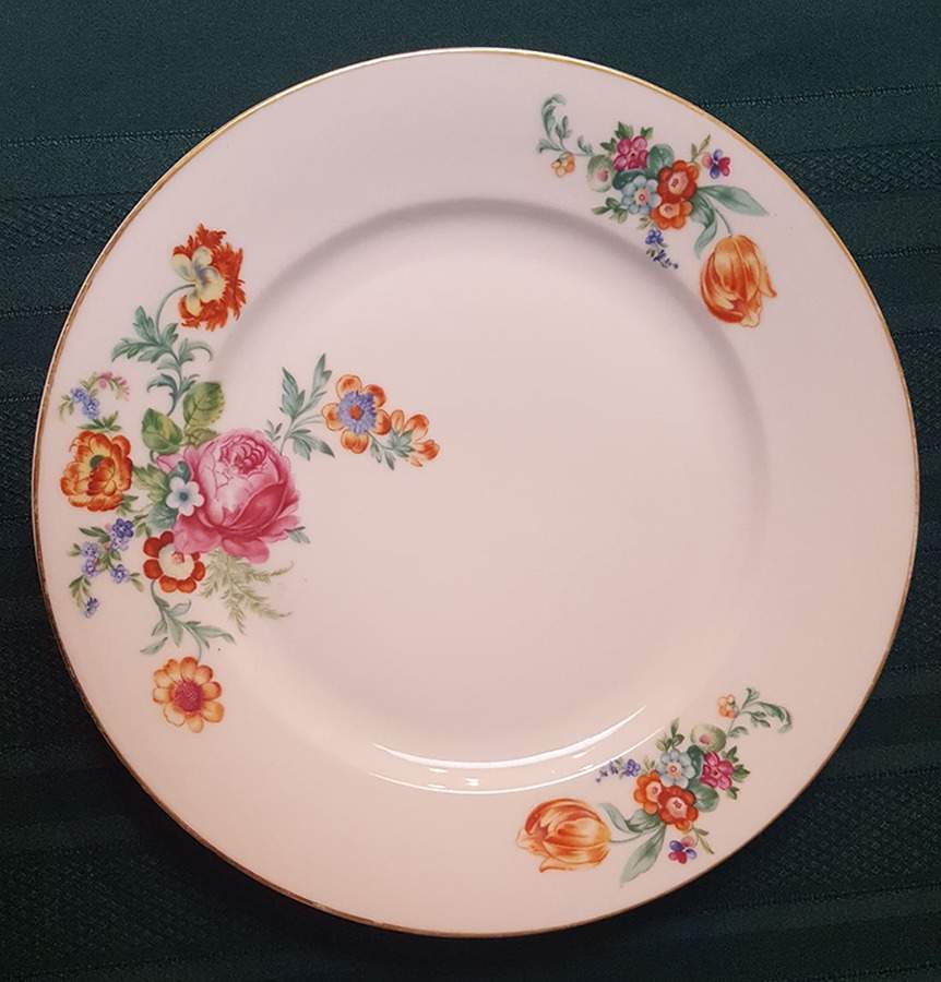 EPI480 Dinner Plate by Epiag-1