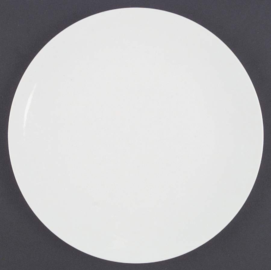 Alpine Dinner Plate by Fairwood-Schonwald-1