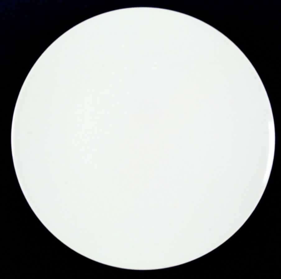 FAI1 Dinner Plate by Fairwood-Schonwald-1