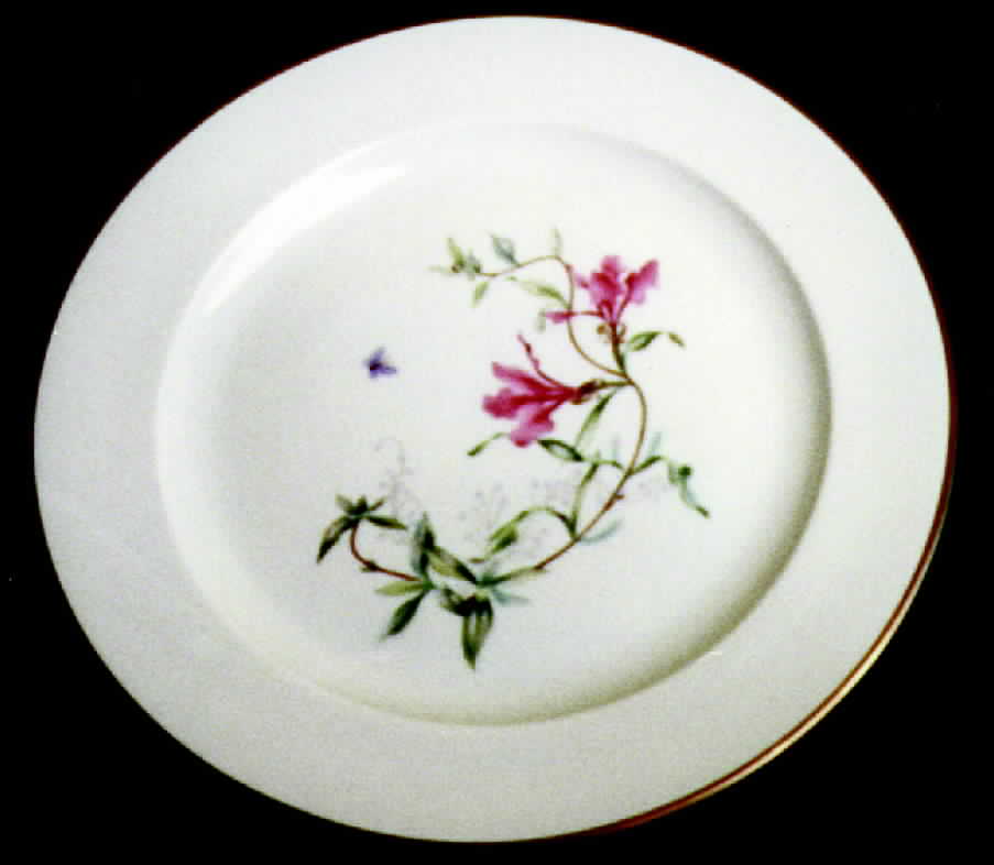 FA17 Dinner Plate by Fairwood-Schonwald-1