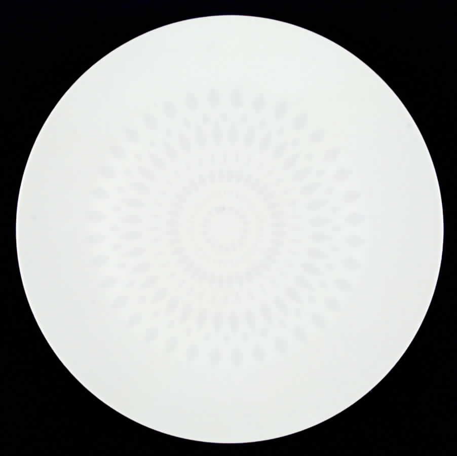 Fantasia Dinner Plate by Fairwood-Schonwald-1