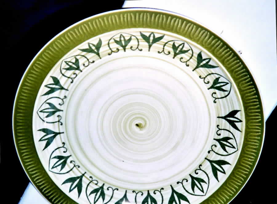 Kristin Dinner Plate by Fashion Manor-1