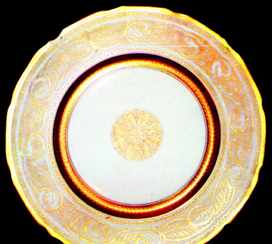 FAN1 Dinner Plate by France-1