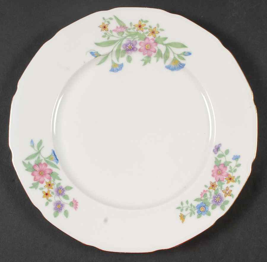 FAN2 Salad Plate by France-1