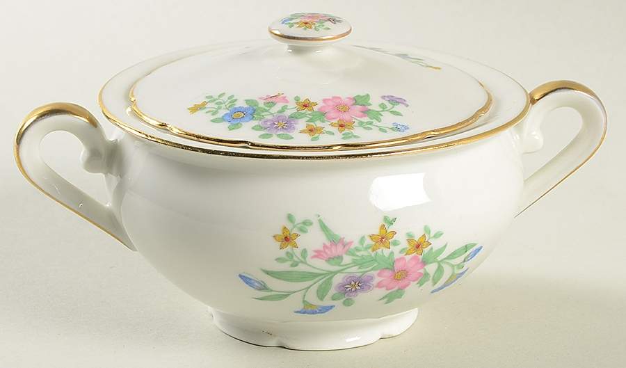 FAN2 Sugar Bowl & Lid by France-1
