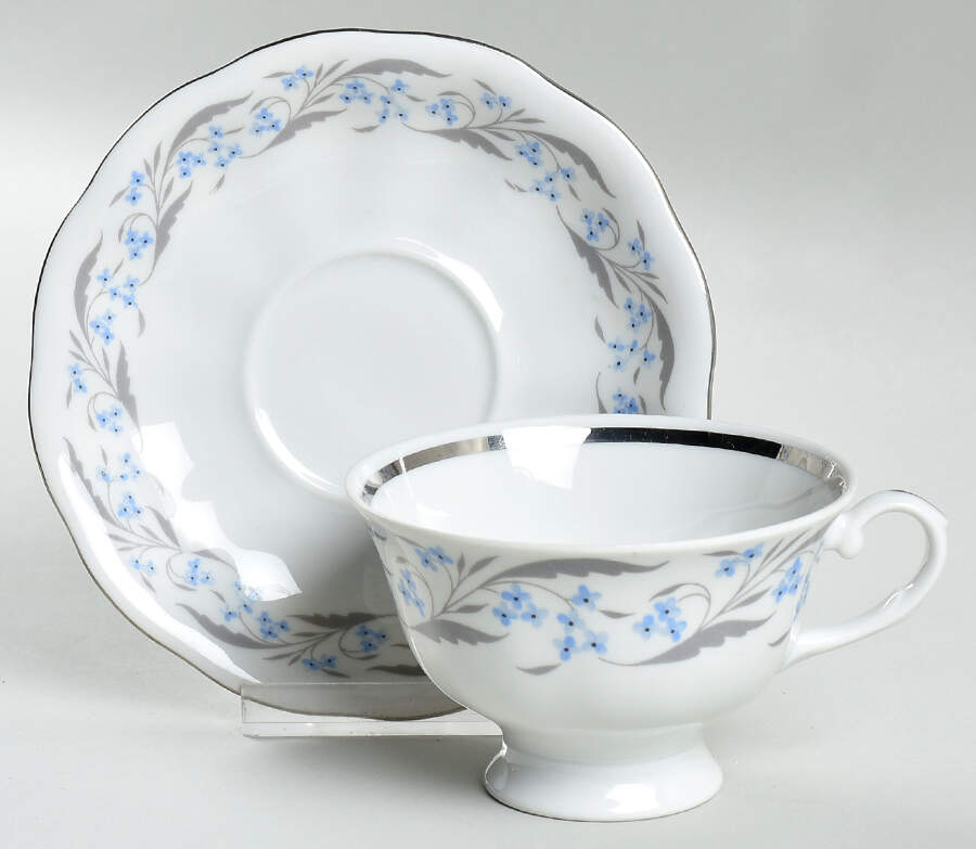 Harmony (Platinum Trim) Footed Cup & Saucer Set by Favolina-Karolina-1