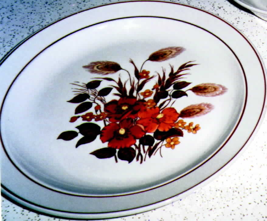 CX889 Dinner Plate by China (Made in China)-1
