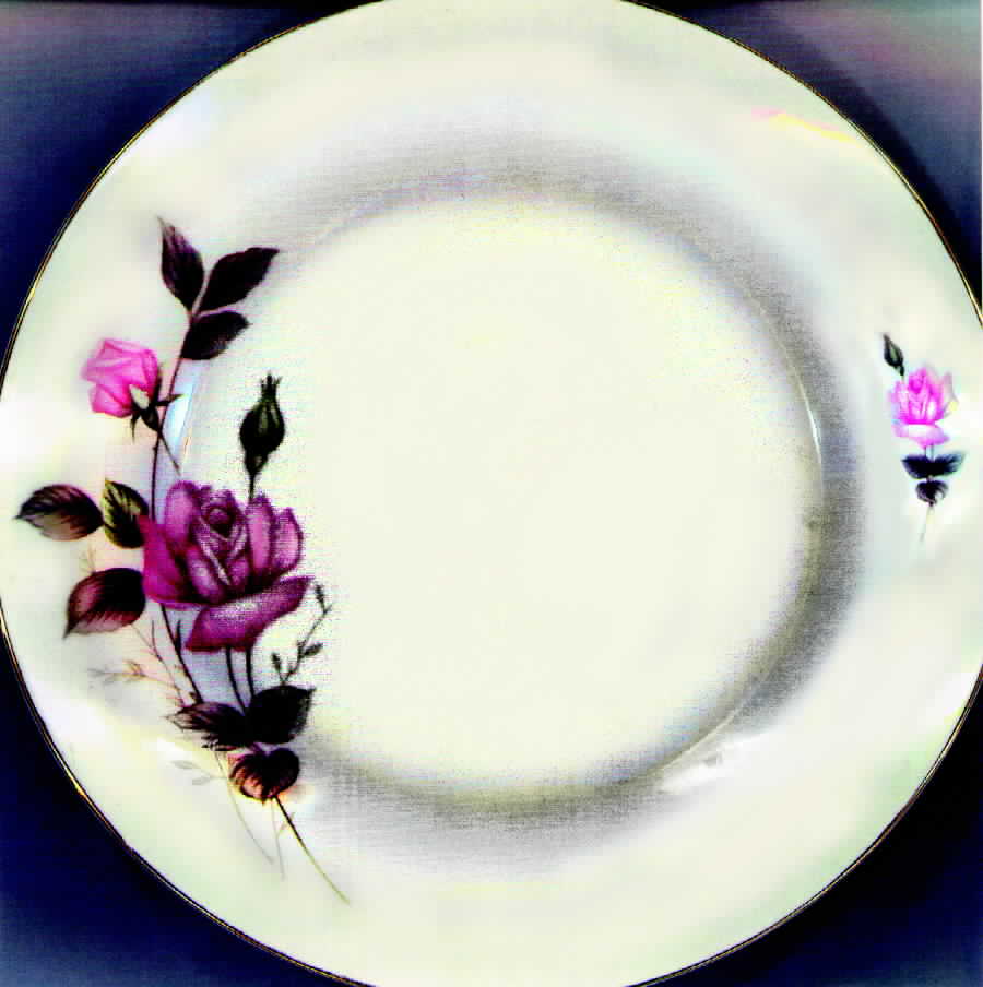 FCC75 Dinner Plate by Fine China of China-1