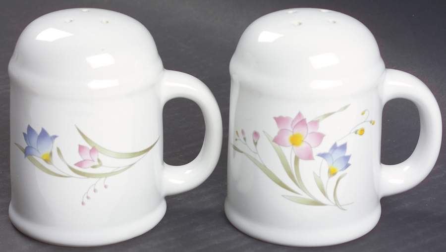 French Garden Stove Top Salt & Pepper Set by Thailand-1