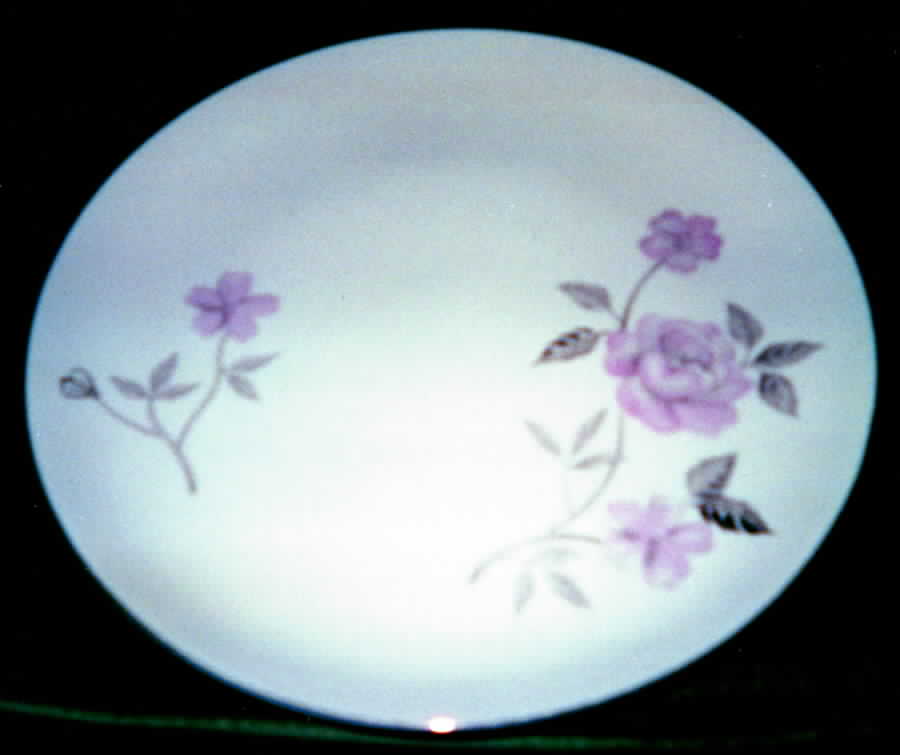Patricia Dinner Plate by Fine China of Japan-1