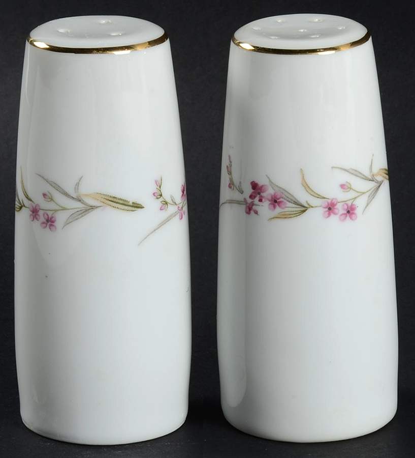 Prestige Salt & Pepper Set by Fine China of Japan-1