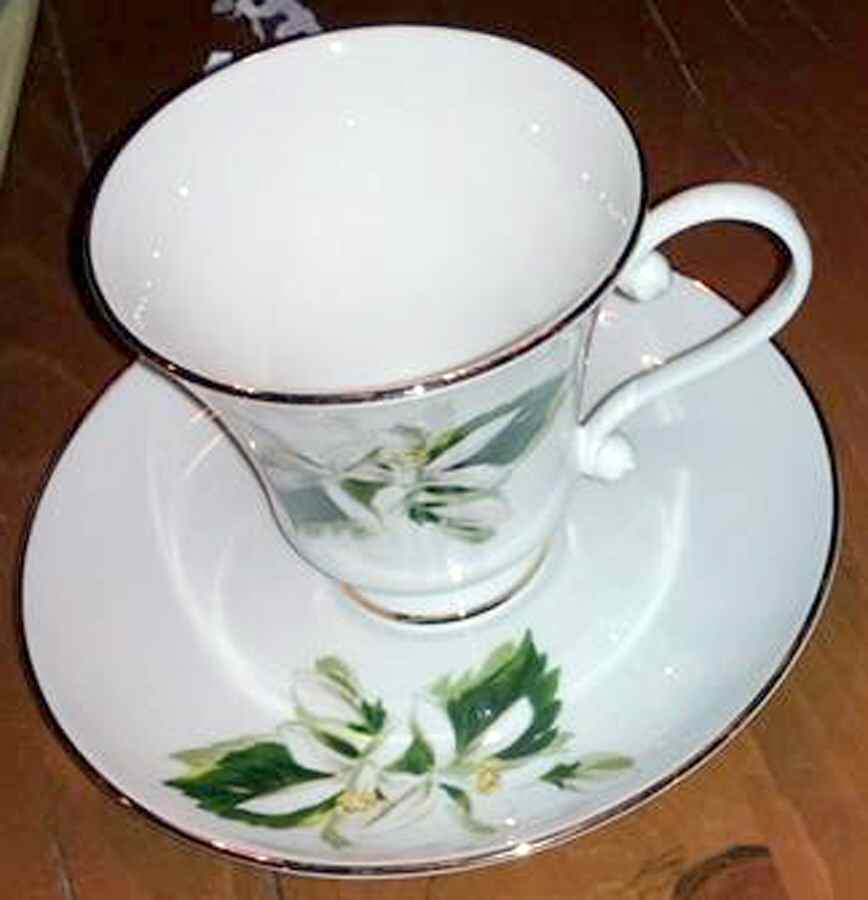 Orange Blossom & Gardenia Footed Cup & Saucer Set by Fine Arts-1