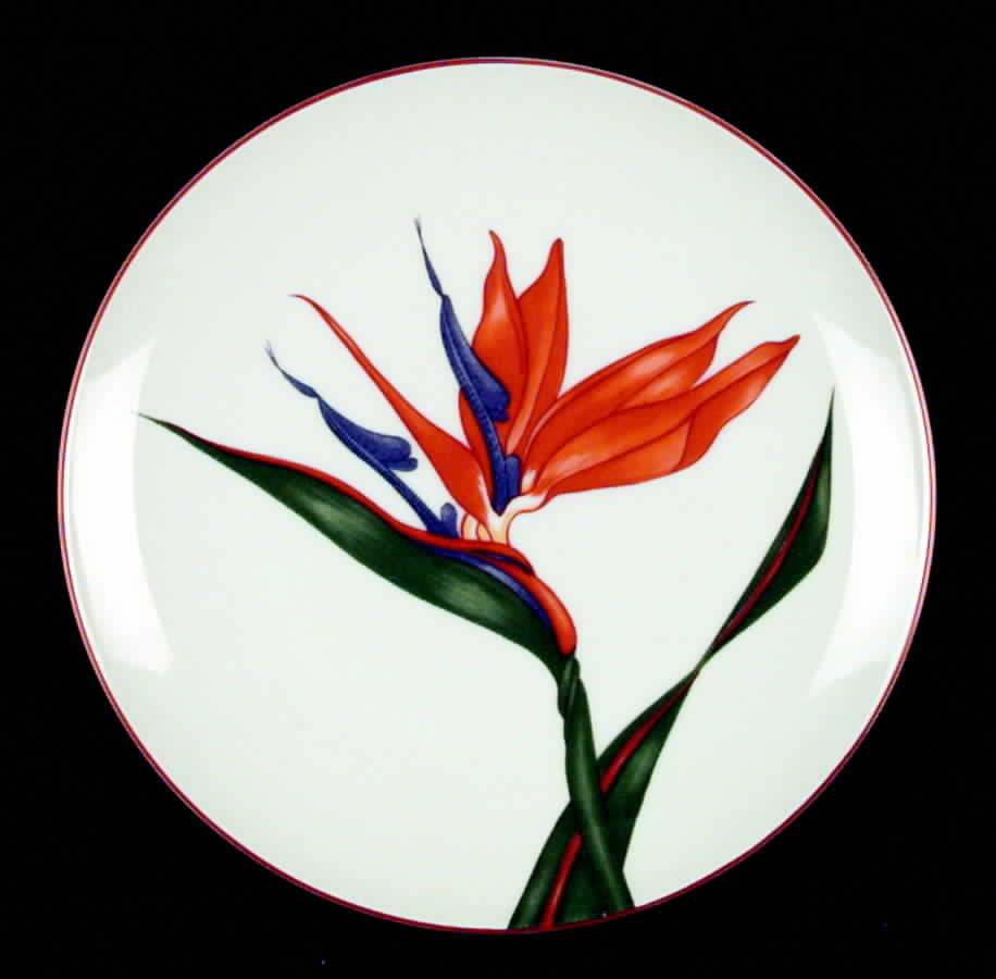 Bird of Paradise (White Background) Salad Plate by Fitz & Floyd-1