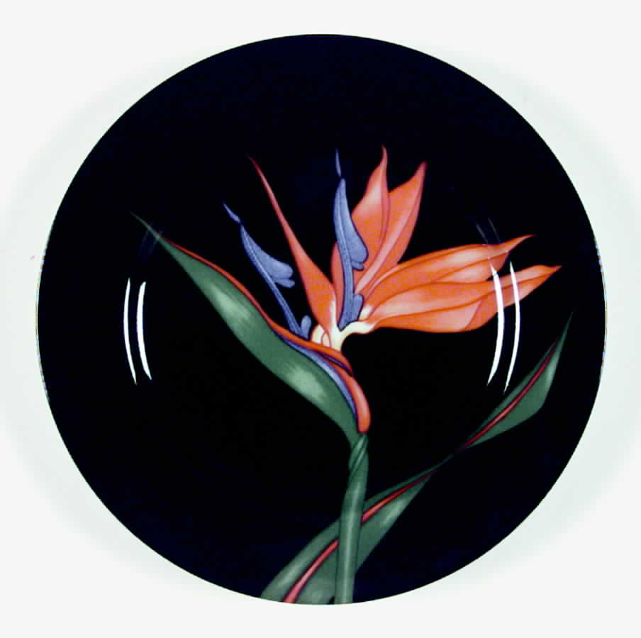 Bird of Paradise (Black Background) Salad Plate by Fitz & Floyd-1