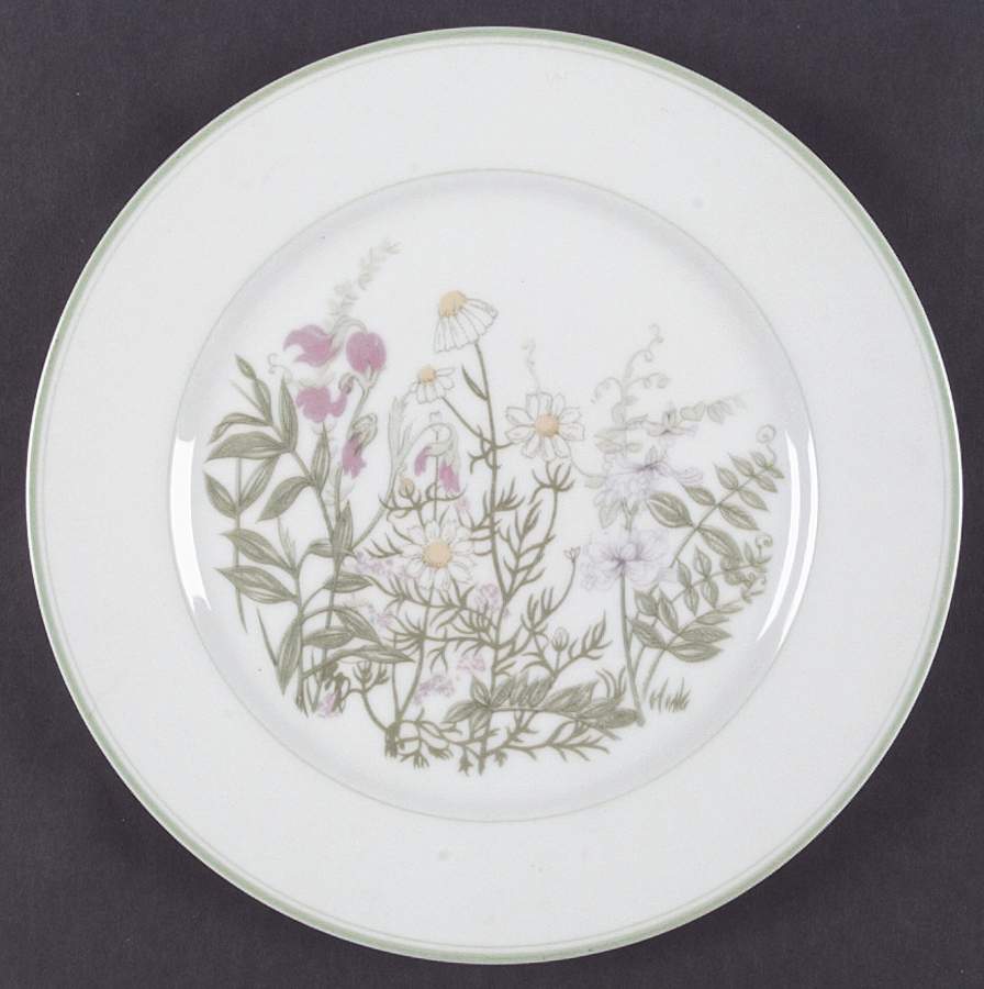Country Garden Dinner Plate by Fitz & Floyd-1