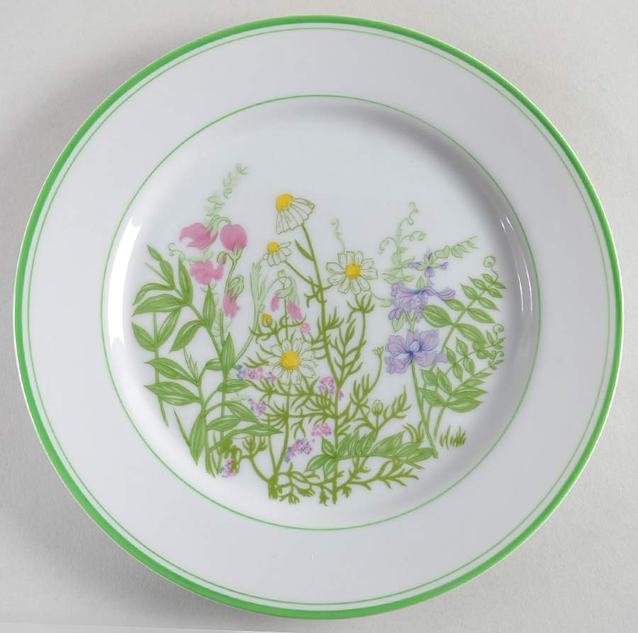 Country Garden Luncheon Plate by Fitz & Floyd-1