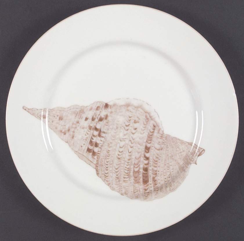 Coquille Dinner Plate by Fitz & Floyd-1