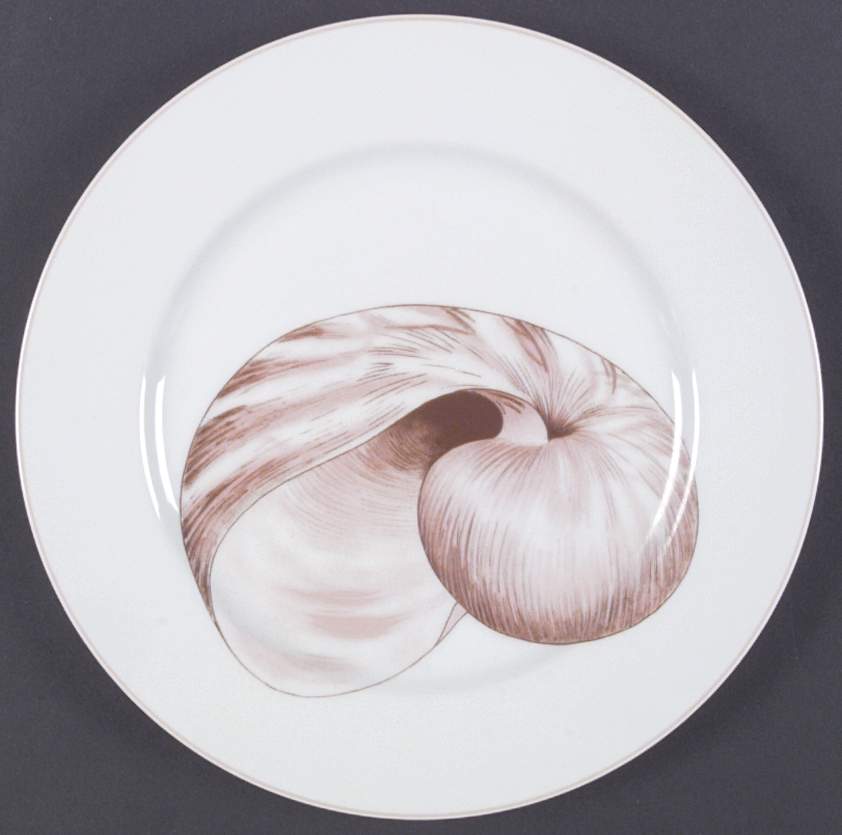 Coquille Dinner Plate by Fitz & Floyd-1