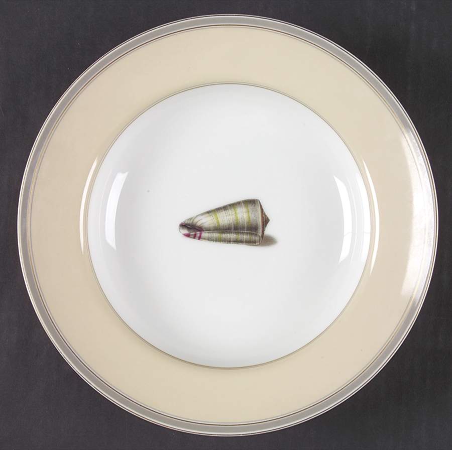 Coquillier Large Rim Soup Bowl by Fitz & Floyd-1