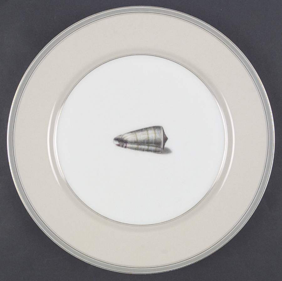 Coquillier Dinner Plate by Fitz & Floyd-1