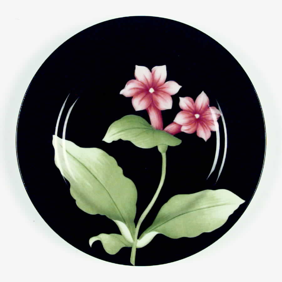 Fleurs De Minuit Salad Plate by Fitz & Floyd-1