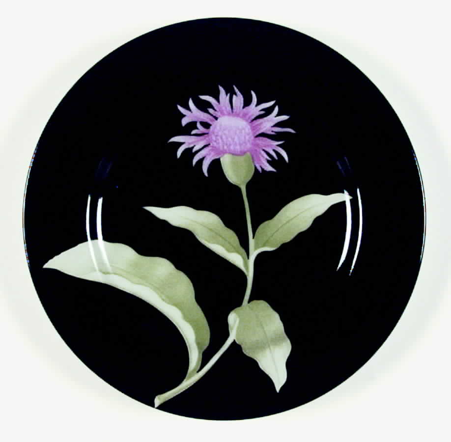 Fleurs De Minuit Salad Plate by Fitz & Floyd-1